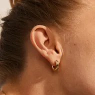 Earnings