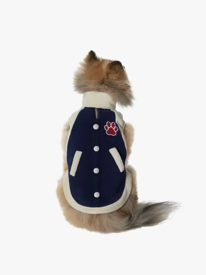 Pawsome Fashion Hoodie, Stylish Cat Comfort Gear