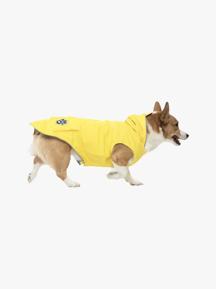 pet-11-2